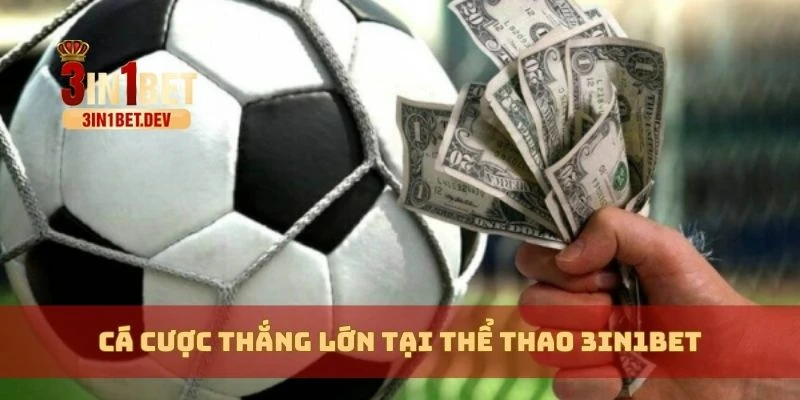 Thể Thao 3in1bet – Cá Cược Đa Dạng Với Tỷ Lệ Kèo Hấp Dẫn 3 Cá cược thắng lớn tại thể thao 3in1bet
