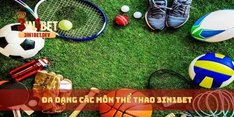 Thể Thao 3in1bet – Cá Cược Đa Dạng Với Tỷ Lệ Kèo Hấp Dẫn 1 Đa dạng các môn thể thao 3in1bet