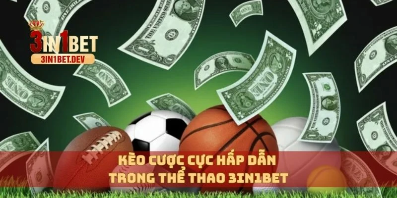 Thể Thao 3in1bet – Cá Cược Đa Dạng Với Tỷ Lệ Kèo Hấp Dẫn 2 Kèo cược cực hấp dẫn trong thể thao 3in1bet