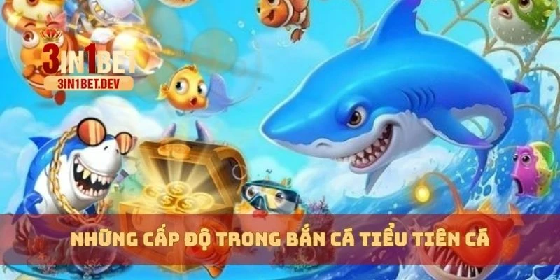 Bắn Cá Tiểu Tiên Cá – Chiến Thuật Bắn Cá Hiệu Quả Nhất 3 Những cấp độ trong bắn cá tiểu tiên cá
