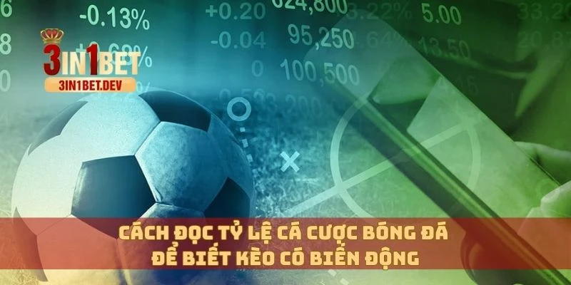 Đọc Tỷ Lệ Cá Cược Bóng Đá – Phân Tích Chính Xác Dễ Dàng 3 Cách đọc tỷ lệ cá cược bóng đá để biết kèo có biến động