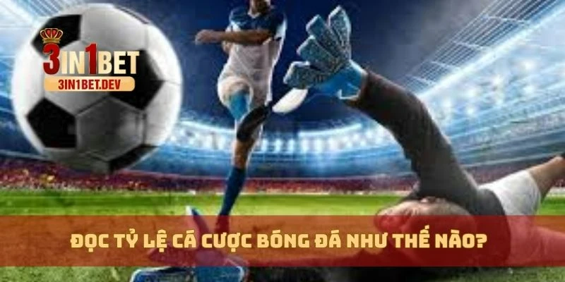 Đọc Tỷ Lệ Cá Cược Bóng Đá – Phân Tích Chính Xác Dễ Dàng 2 Đọc tỷ lệ cá cược bóng đá như thế nào?