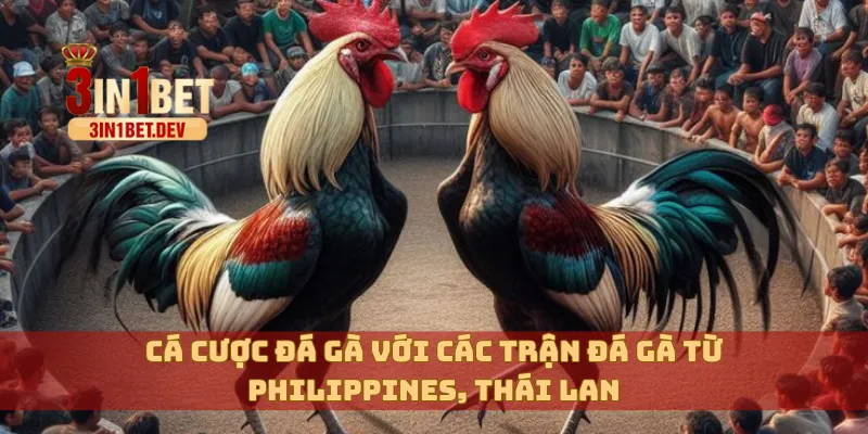 3IN1BET - TRANG CHỦ CHÍNH THỨC 3IN1BET.COM MỚI NHẤT 15 Cá cược đá gà với các trận đá gà từ Philippines, Thái Lan