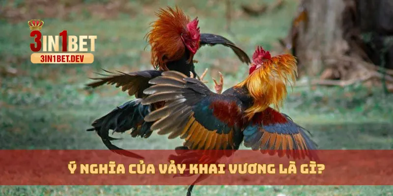 Vảy Khai Vương Là Gì? Hiểu Đúng Để Chọn Chiến Kê Chuẩn 3 Ý nghĩa của vảy khai vương là gì?